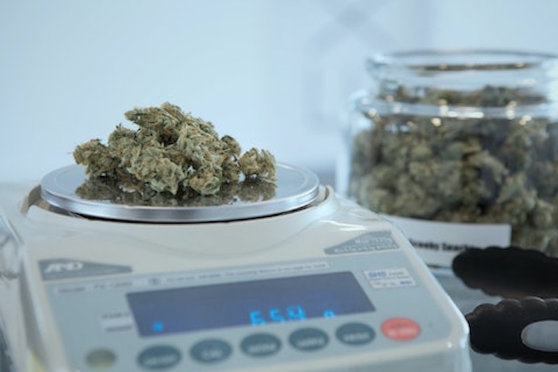 Unifor and Aleafia Health Partner on Groundbreaking Medical Cannabis Coverage