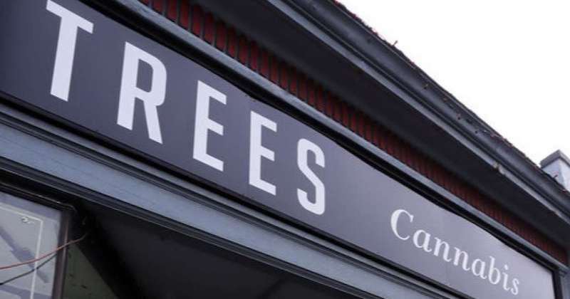 Trees Announces Opening of Latest Retail Location in Brampton and Changes to the Board of Directors