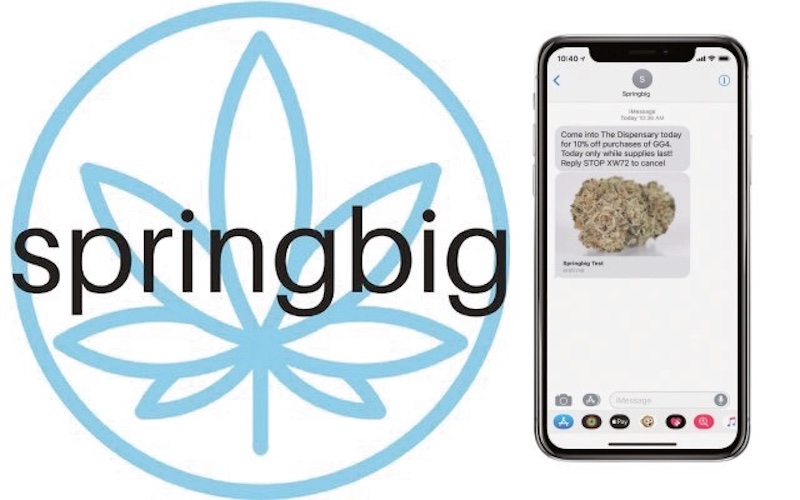 Greenline POS Announces Loyalty Integration with springbig