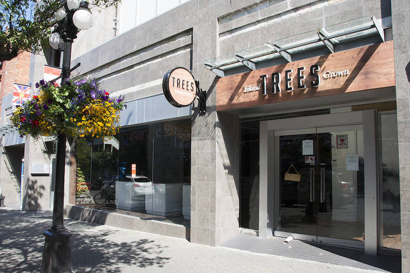 Trees Corporation Announces Equity Incentive Grants