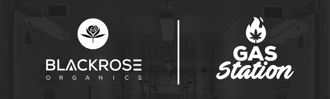 Black Rose Organics Achieves Global ICANNGAP and GACP in 3 months!