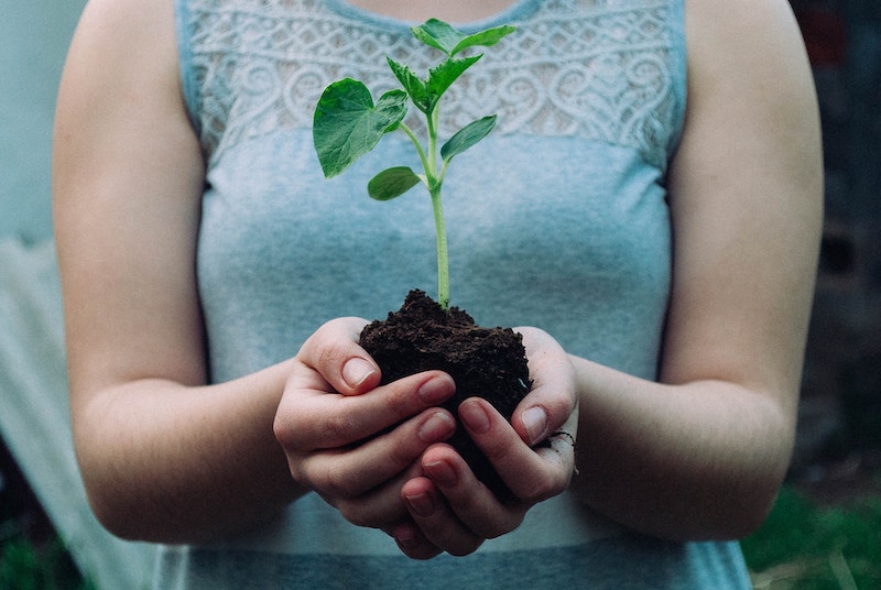 Heritage Cannabis Announces the Launch of Heritage Helps Highlighting its Commitment to Corporate Social Responsibility