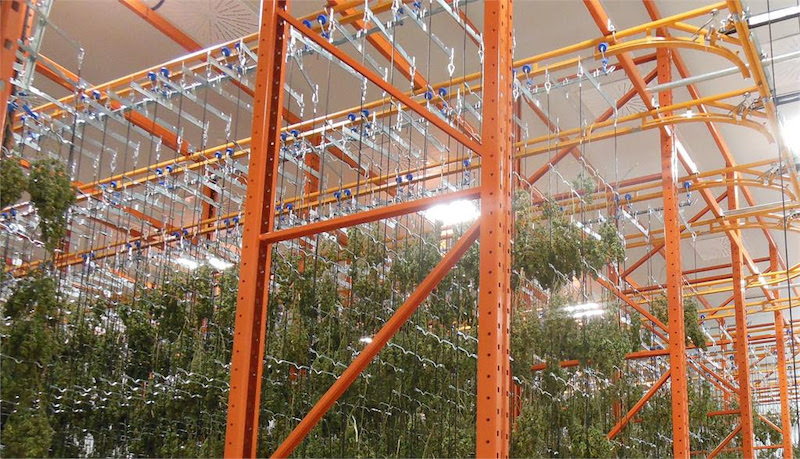 Cannabis Trolley Dry Room Hanging System