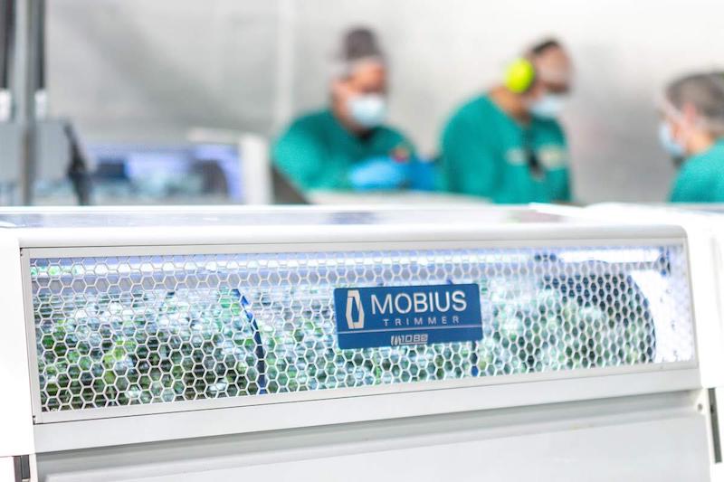 Eteros Wins Court Case In Favour of Excluding “Marijuana-Related Drug