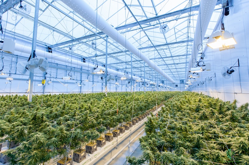 Ghost Drops Keeps Rolling, Acquires Cannabis Production and Processing Facility