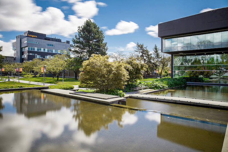 Avicanna and Langara College Announce Cannabinoid-Based Translational Research Collaboration and NSERC Grant
