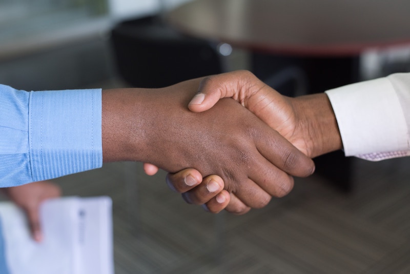 IM Cannabis Announces CFO Departure