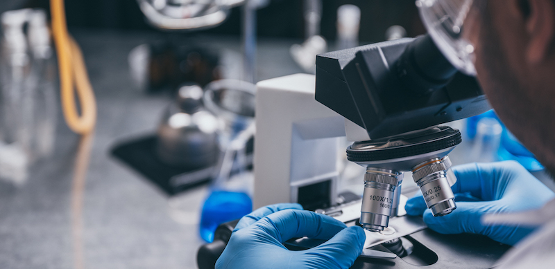 Lucy Scientific Discovery Inc. Announces Acquisition of BlueSky Wellness Inc. in All-Stock Transaction
