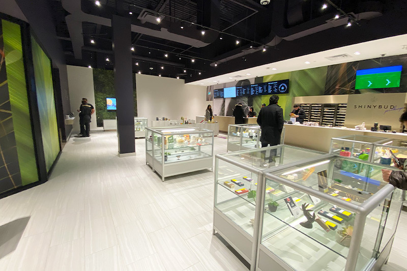 Shiny Health & Wellness Announces Private Placement of $500,000