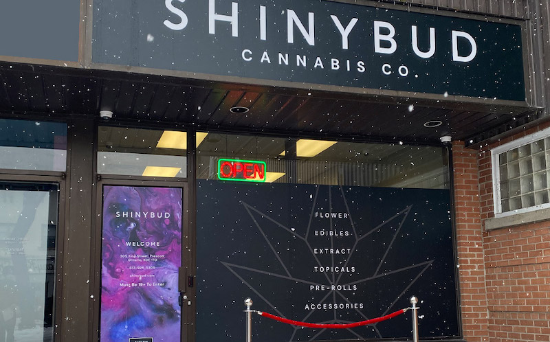 Shiny Health & Wellness Appoints Toronto Executive Jonathan Hemi to Board of Directors