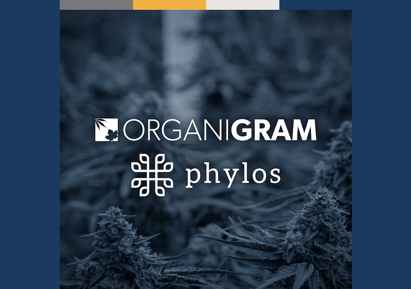 Organigram Increases Investment in Phylos After Successful Milestone Achievement