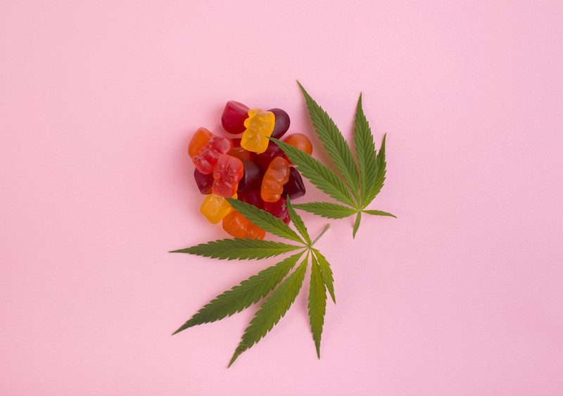 CAA Manitoba Survey Reveals Alarming Data on Cannabis-Impaired Driving in Manitoba