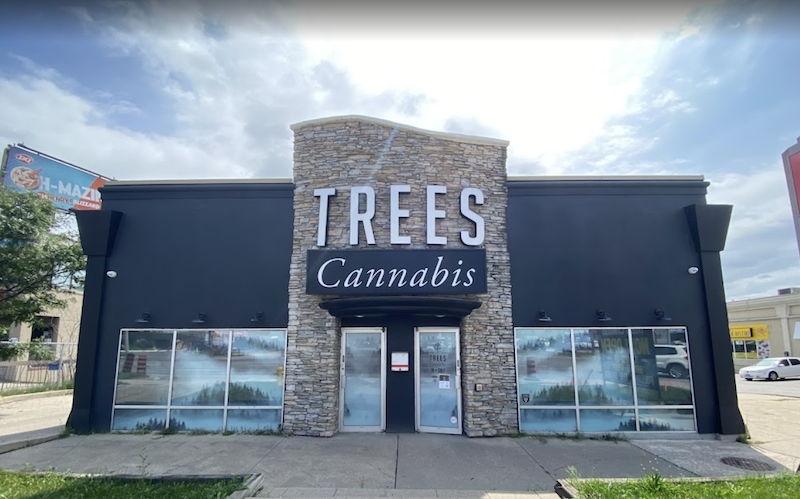 Trees Cannabis Makes History as First Private Wall-to-Wall Unionized Cannabis Chain in British Columbia